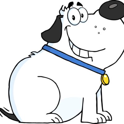Happy chubby white dog Thumbnail