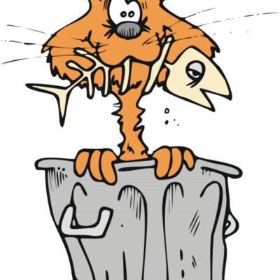 Cat in rubbish bin Thumbnail