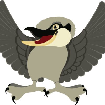 png kookaburra bird 3 Thumbnail
