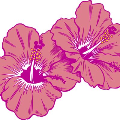 Hibiscus Tropical Thumbnail