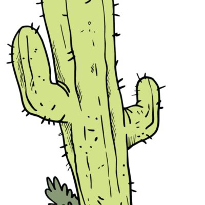 Cactus Thumbnail