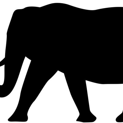 Elephant walk Thumbnail