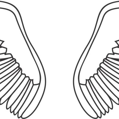Wings6 Thumbnail