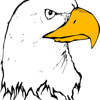 eagle Thumbnail