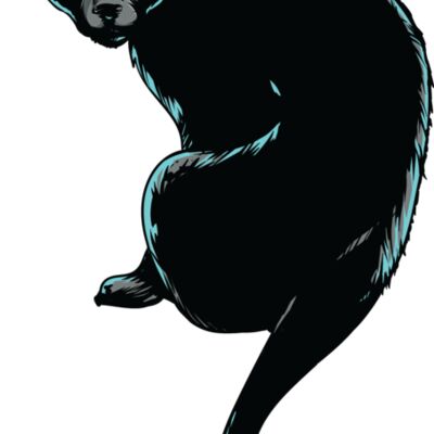 Black Cat Thumbnail
