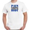 Gildan Adult Cotton Tee  Thumbnail