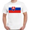 Gildan Adult Cotton Tee  Thumbnail