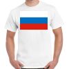 Gildan Adult Cotton Tee  Thumbnail