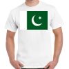 Gildan Adult Cotton Tee  Thumbnail