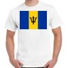 Gildan Adult Cotton Tee  Thumbnail