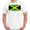 Gildan Adult Cotton Tee  Thumbnail
