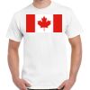 Gildan Adult Cotton Tee  Thumbnail