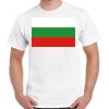 Gildan Adult Cotton Tee  Thumbnail