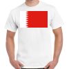 Gildan Adult Cotton Tee  Thumbnail