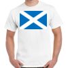 Gildan Adult Cotton Tee  Thumbnail