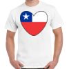 Gildan Adult Cotton Tee  Thumbnail