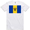 AS Colour Adult Staple Tee  Thumbnail