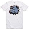 AS Colour Adult Staple Tee  Thumbnail